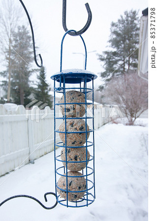 Hanging bird feeder at winter in Finland. 85371798