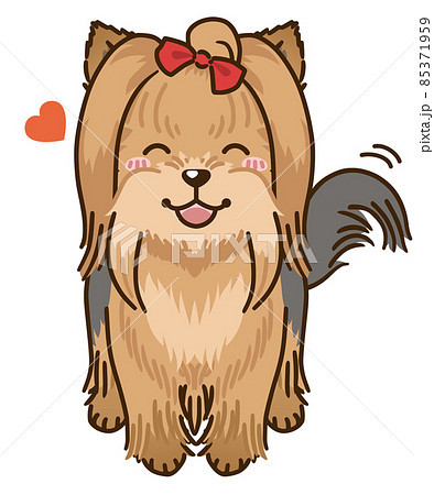 なつくヨークシャーテリア（フルコート） 85371959