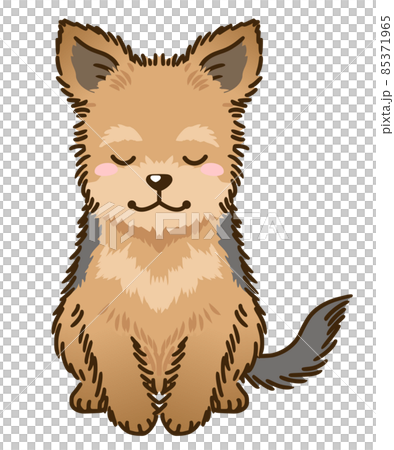 おじぎするヨークシャーテリア 85371965