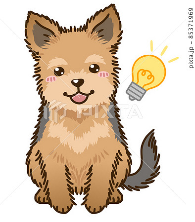 思い付くヨークシャーテリア 85371969