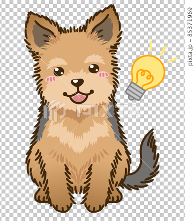 思い付くヨークシャーテリア 85371969