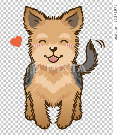 夏木約克夏梗 85371973