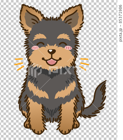 Rejoice 約克夏梗犬（黑色和棕褐色） 85371986