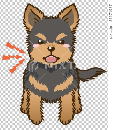 Menacing Yorkshire Terrier (Black and Tan) 85371987