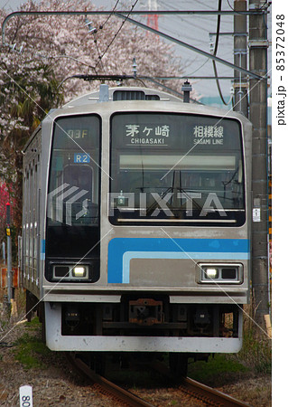 桜と相模線205系(茅ケ崎⇔橋本) 桜と相模線205系(茅ケ崎⇔橋本) 85372048