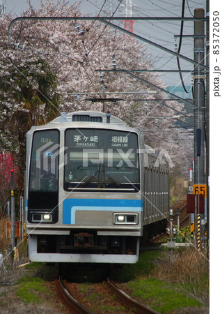 桜と相模線205系(茅ケ崎⇔橋本) 桜と相模線205系(茅ケ崎⇔橋本) 85372050
