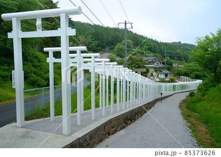 済渡寺の新名所　白龍門2　岡山県新見市 85373626