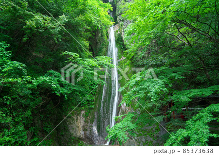 国道180号から見える初夏の絹掛の滝4 岡山県新見市 国道180号から見える初夏の絹掛の滝4 岡山県新見市 85373638