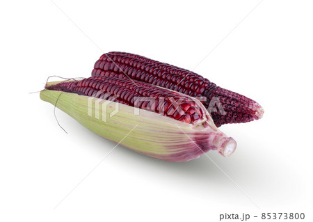 fresh purple corn isolated on a white background fresh purple corn isolated on a white background 85373800