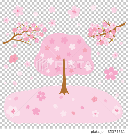 盛開櫻花的粉紅色背景插圖 85373881