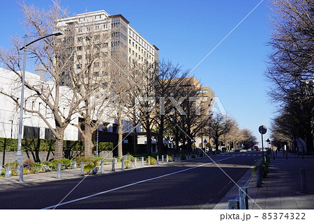 日本大通り 85374322