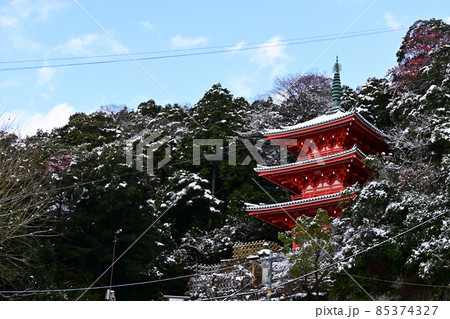 岐阜公園の三重塔と雪景色と青空 岐阜公園の三重塔と雪景色と青空 85374327