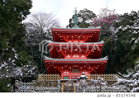 岐阜公園の三重塔と雪景色 岐阜公園の三重塔と雪景色 85374548