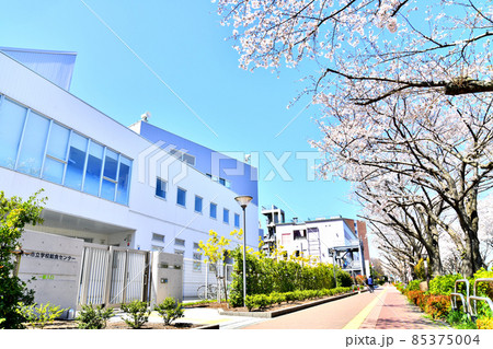 府中市立学校給食センター付近(東京都府中市)【2020.3】 府中市立学校給食センター付近(東京都府中市)【2020.3】 85375004