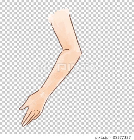 Watercolor-style body parts Arms / hands 85377327