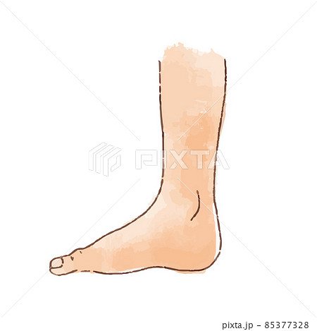 水彩風の身体パーツ 横から見た足 85377328