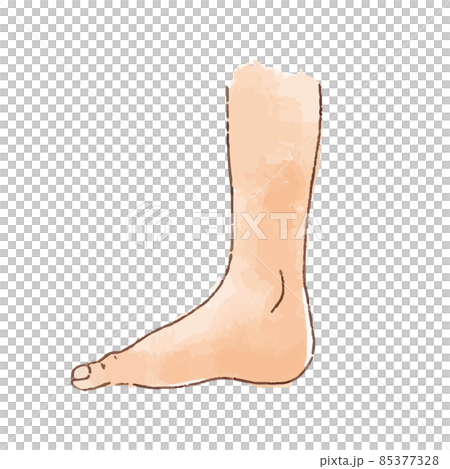 水彩風の身体パーツ 横から見た足 85377328