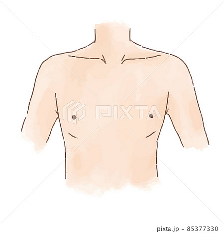 水彩風の身体パーツ 男性の胸部 水彩風の身体パーツ 男性の胸部 85377330
