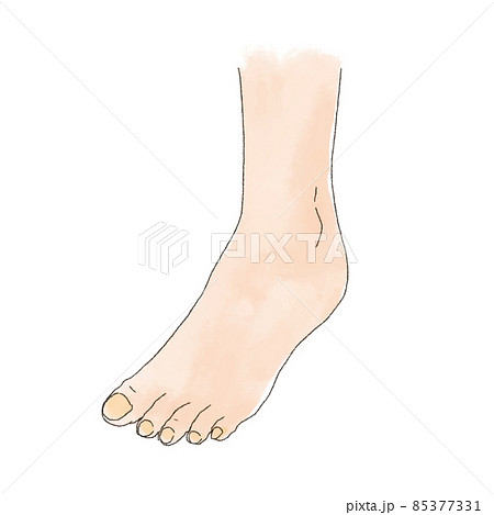 水彩風の身体パーツ 斜めから見た足 85377331