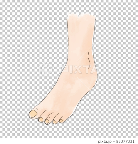 水彩風の身体パーツ 斜めから見た足 85377331