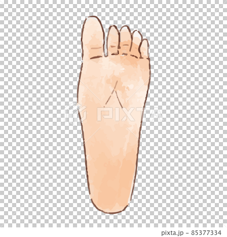水彩風の身体パーツ 足の裏 水彩風の身体パーツ 足の裏 85377334