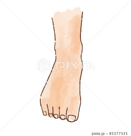 水彩風の身体パーツ 正面から見た足・足首 85377335