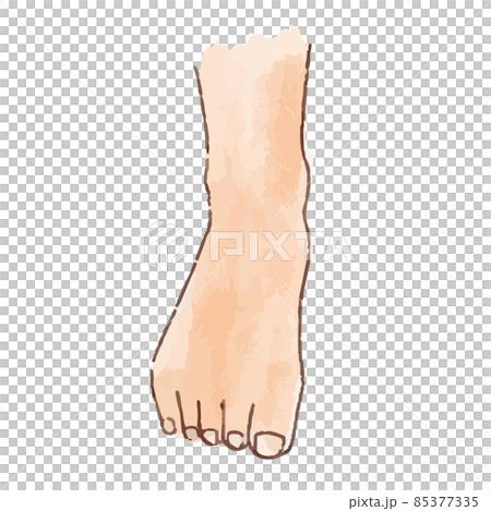 水彩風の身体パーツ 正面から見た足・足首 85377335