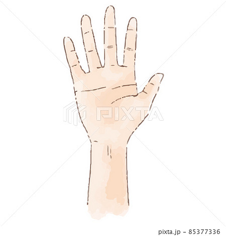 水彩風の身体パーツ 開いた手のひら 85377336