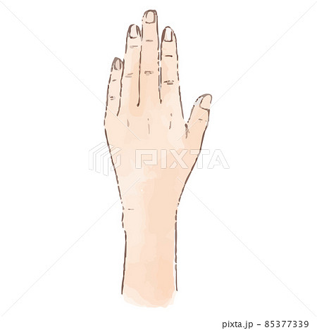 水彩風の身体パーツ 手の甲 85377339