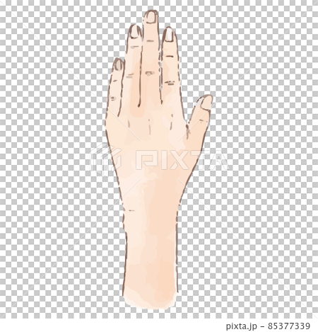 水彩風の身体パーツ 手の甲 85377339