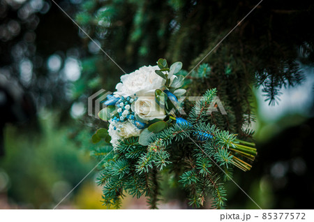 Bouquet of white flowers on the tree branch 85377572