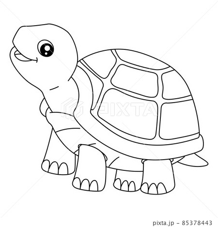 How to Draw a Turtle - Easy Drawing Tutorial For Kids