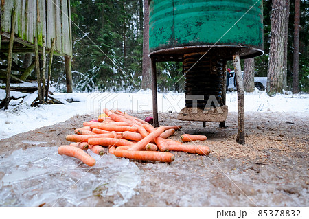 Manger for winter feeding of wild animals in forest. Forest animal feeder in winter. Defocused Manger for winter feeding of wild animals in forest. Forest animal feeder in winter. Defocused 85378832
