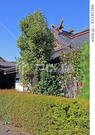 水宮神社（富士見） 85380386