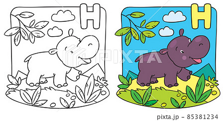 Little hippo coloring book. Alphabet H 85381234