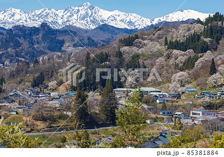 長野県/ 二反田の桜 「日本一最も美しい村（連合）」小川村 85381884
