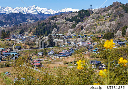 長野県/ 二反田の桜 「日本一最も美しい村(連合)」小川村 長野県/ 二反田の桜 「日本一最も美しい村(連合)」小川村 85381886