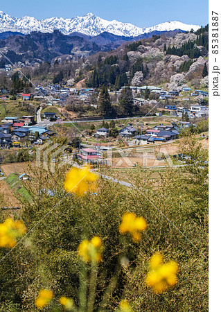 長野県/ 二反田の桜 「日本一最も美しい村（連合）」小川村 85381887