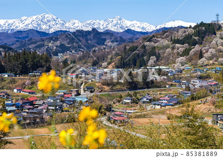 長野県/ 二反田の桜 「日本一最も美しい村（連合）」小川村 85381889