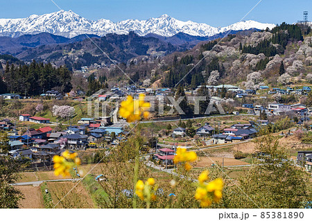 長野県/ 二反田の桜 「日本一最も美しい村（連合）」小川村 85381890