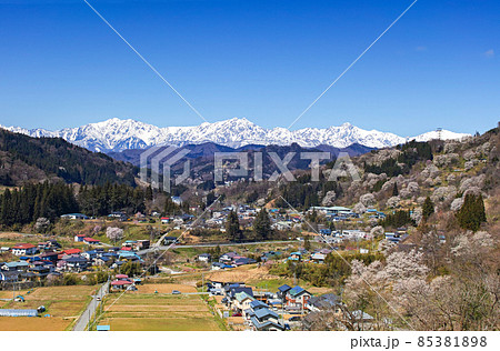 長野県/ 二反田の桜 「日本一最も美しい村(連合)」小川村 長野県/ 二反田の桜 「日本一最も美しい村(連合)」小川村 85381898