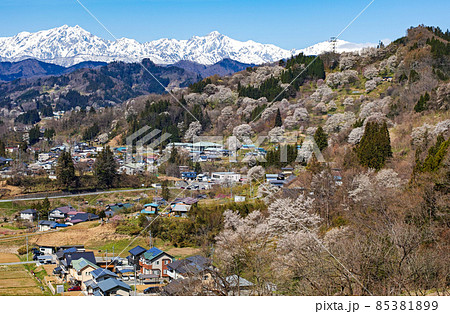 長野県/ 二反田の桜 「日本一最も美しい村（連合）」小川村 85381899
