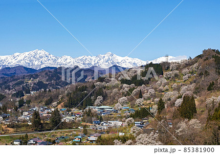 長野県/ 二反田の桜 「日本一最も美しい村（連合）」小川村 85381900