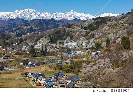 長野県/ 二反田の桜 「日本一最も美しい村（連合）」小川村 85381904