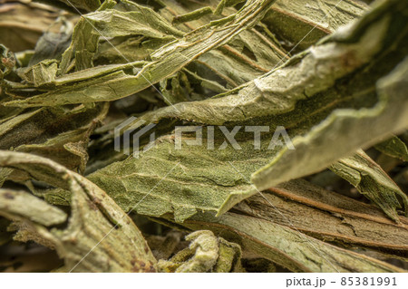 stevia dried leaves stevia dried leaves 85381991