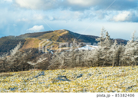 長野県 美ヶ原高原 ビーナスライン 風景 太陽 高所 観光 アルプス 旅行 登山 冬 俯瞰 長野県 美ヶ原高原 ビーナスライン 風景 太陽 高所 観光 アルプス 旅行 登山 冬 俯瞰 85382406