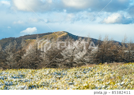 長野県 美ヶ原高原 ビーナスライン 風景 太陽 高所 観光 アルプス 旅行 登山 冬 俯瞰 長野県 美ヶ原高原 ビーナスライン 風景 太陽 高所 観光 アルプス 旅行 登山 冬 俯瞰 85382411