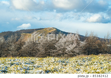 長野県 美ヶ原高原 ビーナスライン 風景 太陽 高所 観光 アルプス 旅行 登山 冬 俯瞰 長野県 美ヶ原高原 ビーナスライン 風景 太陽 高所 観光 アルプス 旅行 登山 冬 俯瞰 85382412
