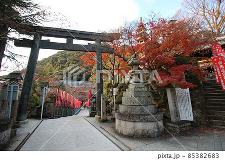 朝護孫子寺 85382683