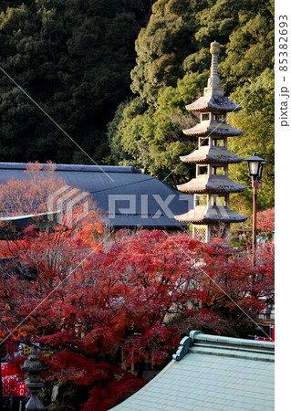 朝護孫子寺 朝護孫子寺 85382693